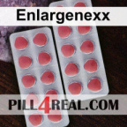 Enlargenexx 026