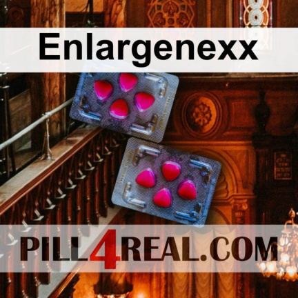 Enlargenexx 664
