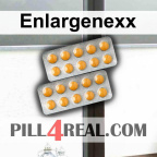 Enlargenexx 817