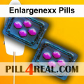 Enlargenexx Pills 252