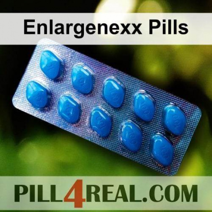 Enlargenexx Pills 357