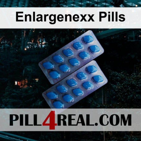 Enlargenexx Pills 681