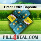 Erect Extra Capsule 163