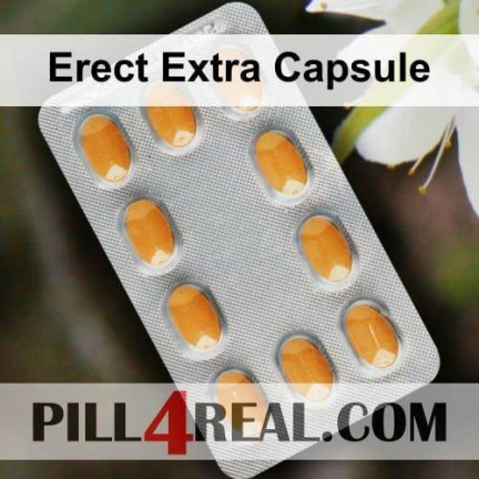 Erect Extra Capsule 223