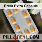 Erect Extra Capsule 223