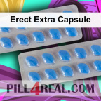 Erect Extra Capsule 241