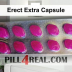 Erect Extra Capsule 335
