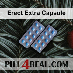 Erect Extra Capsule 386