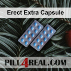 Erect Extra Capsule 386