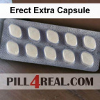 Erect Extra Capsule 450