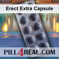 Erect Extra Capsule 602