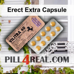 Erect Extra Capsule 848