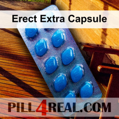 Erect Extra Capsule 873