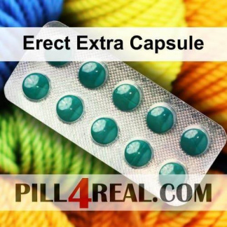 Erect Extra Capsule 890