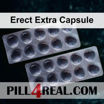 Erect Extra Capsule 894