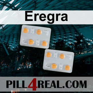 Eregra 291