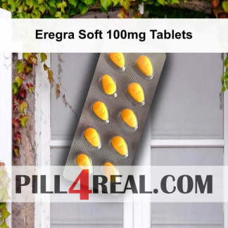 Eregra Soft 100mg Tablets 369