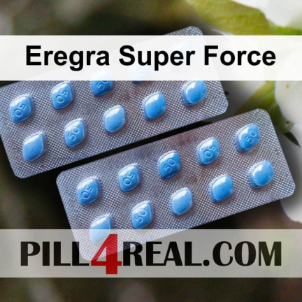 Eregra Super Force 933