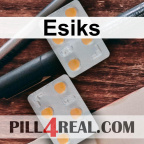 Esiks 201