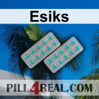 Esiks 209