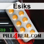 Esiks 534