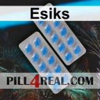Esiks 653