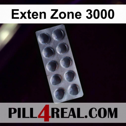 Exten Zone 3000 187
