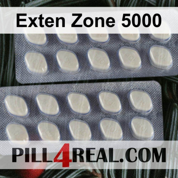 Exten Zone 5000 017