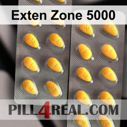 Exten Zone 5000 524