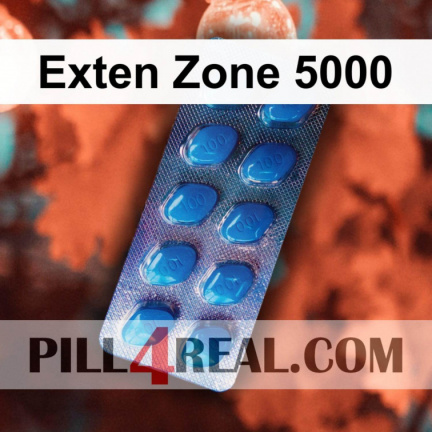 Exten Zone 5000 941