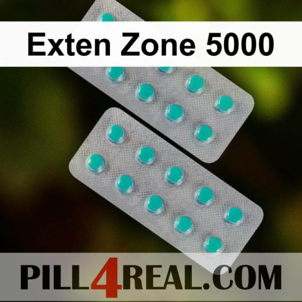 Exten Zone 5000 955