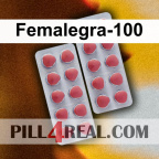 Femalegra-100 380