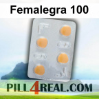 Femalegra 100 657