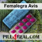 Femalegra Avis 157