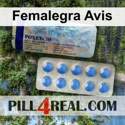 Femalegra Avis 442