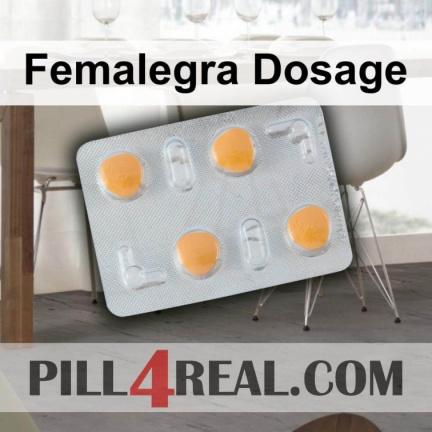 Femalegra Dosage 100