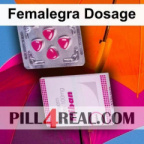 Femalegra Dosage 167