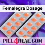 Femalegra Dosage 328