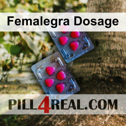 Femalegra Dosage 380