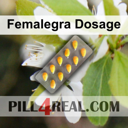 Femalegra Dosage 802