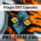 Filagra DXT Capsules 186