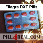 Filagra DXT Pills 484