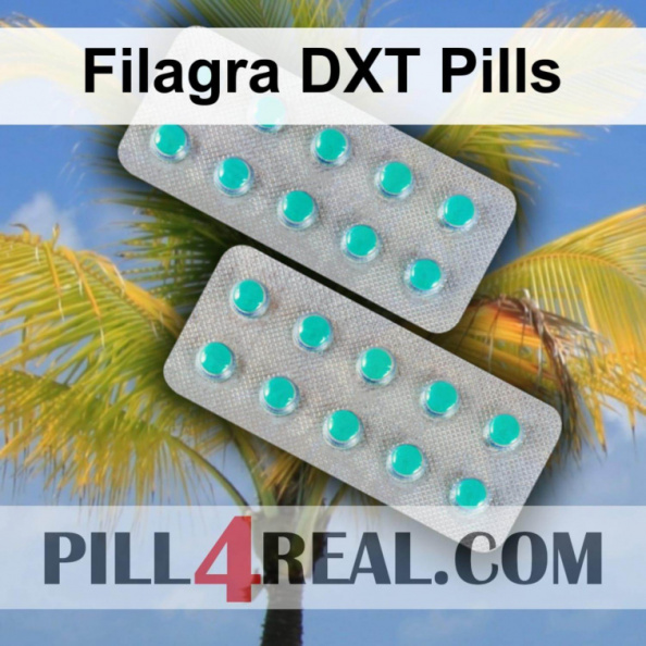 Filagra DXT Pills 558