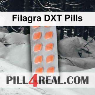 Filagra DXT Pills 734