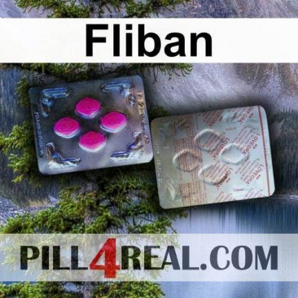 Fliban 291
