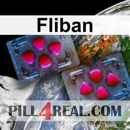 Fliban 556