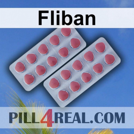 Fliban 826