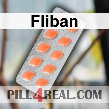 Fliban 853