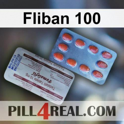 Fliban 100 027