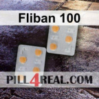 Fliban 100 078